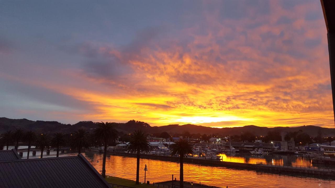 Marina View Apartments Gisborne Dış mekan fotoğraf