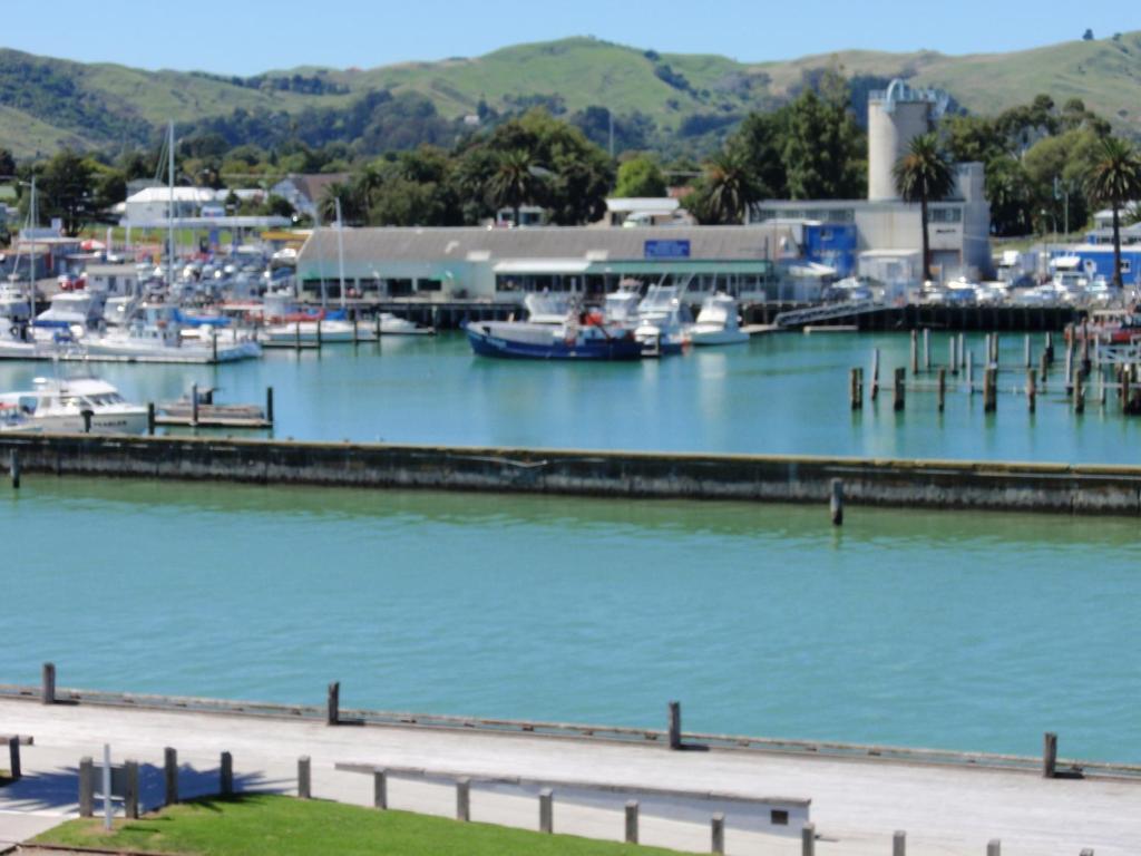 Marina View Apartments Gisborne Dış mekan fotoğraf