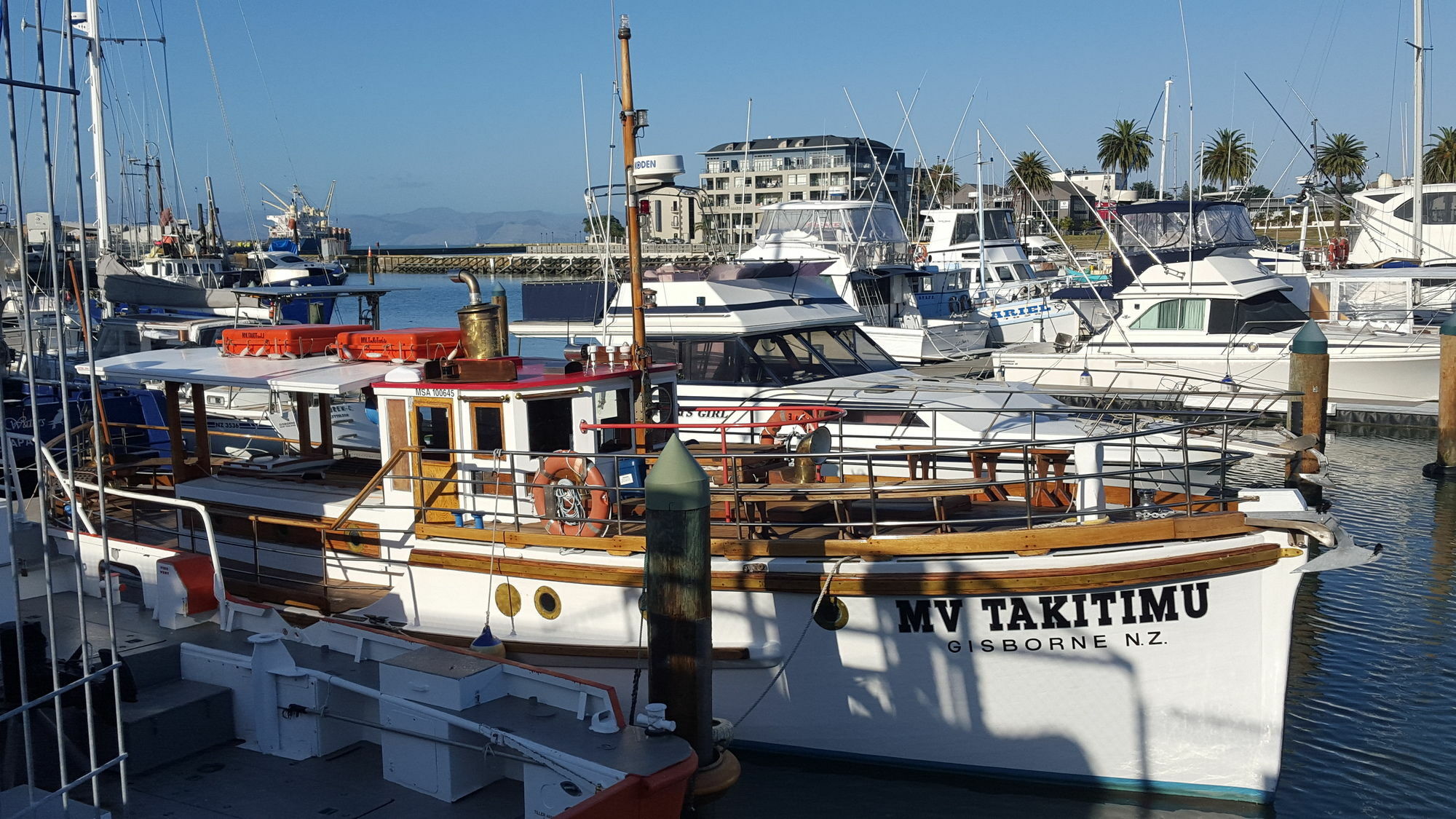 Marina View Apartments Gisborne Dış mekan fotoğraf